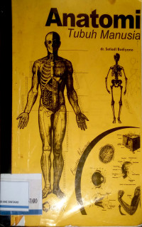 Image of Anatomi Tubuh Manusia